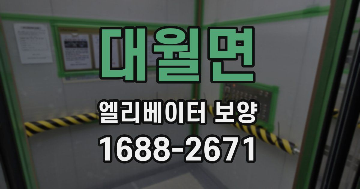 대월면 엘리베이터 보양