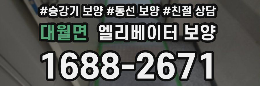 대월면 엘리베이터 보양