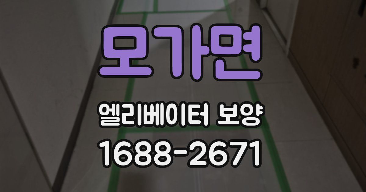 모가면 엘리베이터 보양