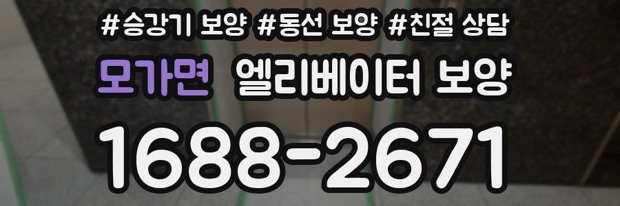 모가면 엘리베이터 보양