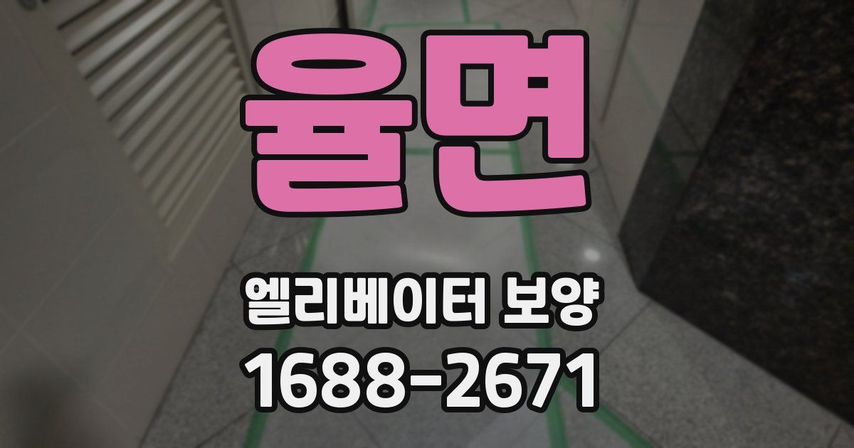 율면 엘리베이터 보양