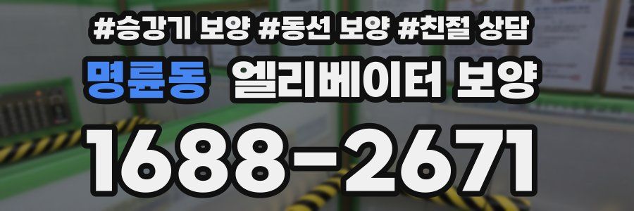 명륜동 엘리베이터 보양