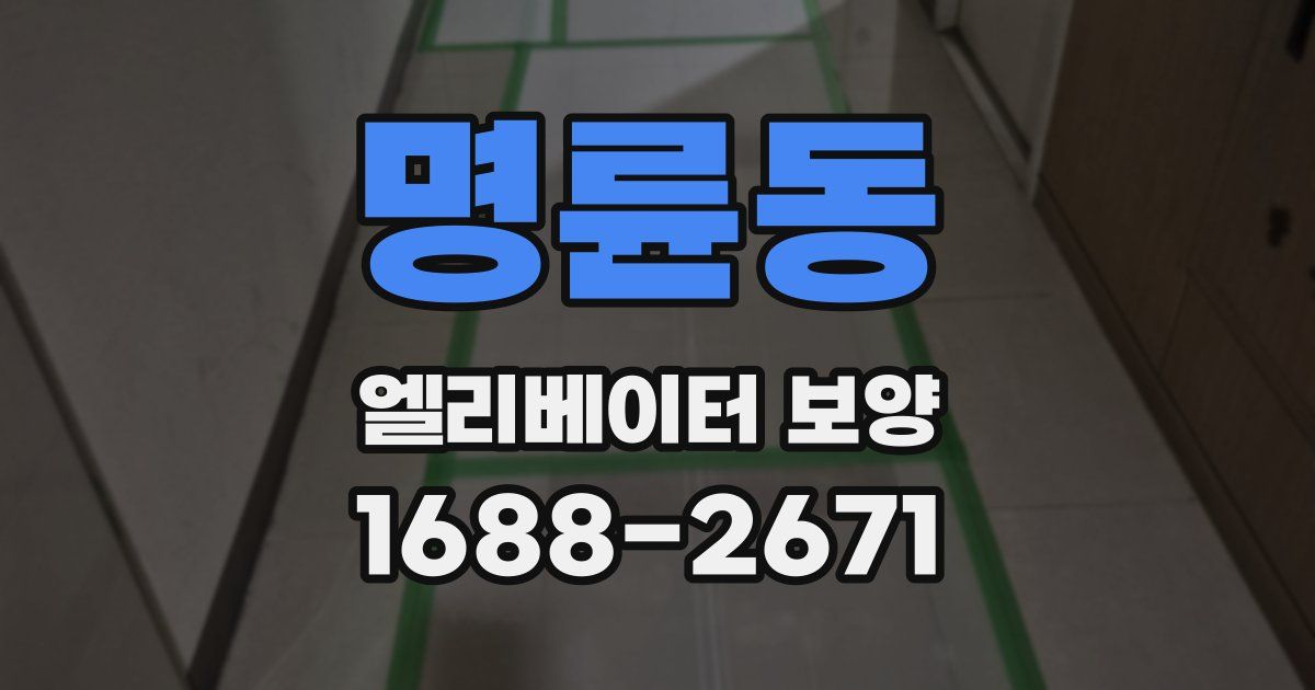 명륜동 엘리베이터 보양