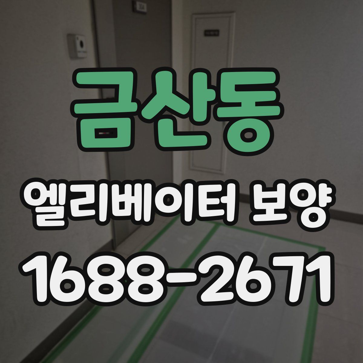 금산동 엘리베이터 보양