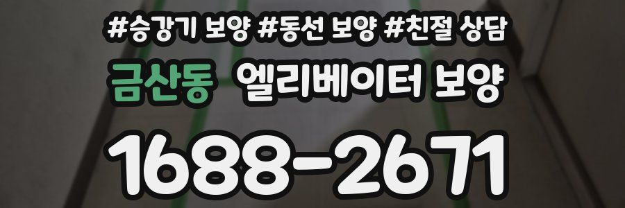 금산동 엘리베이터 보양