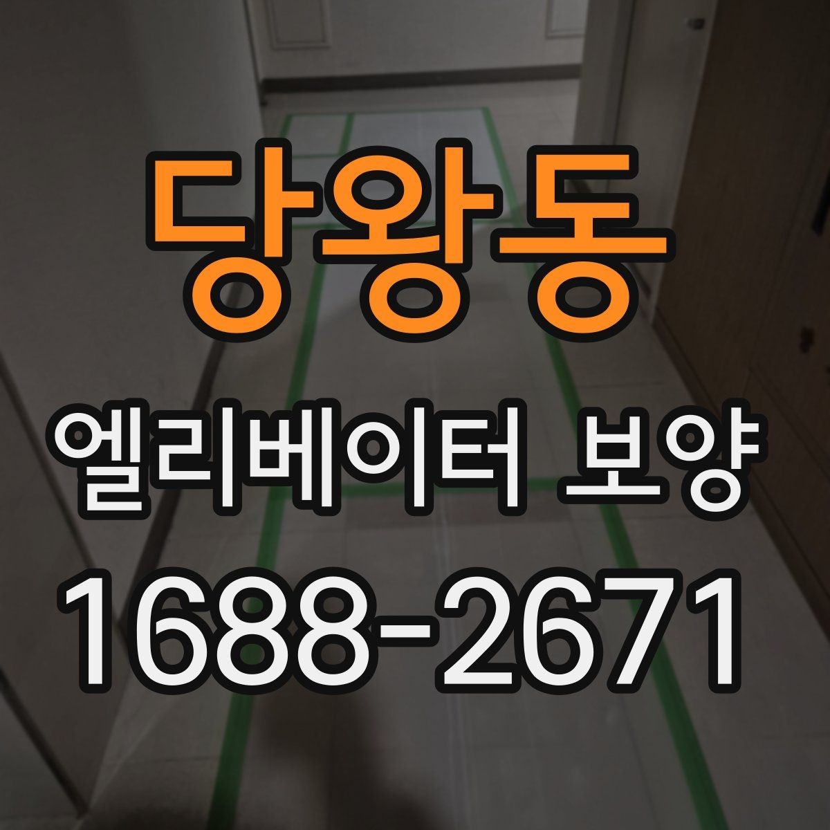당왕동 엘리베이터 보양 방식별 장단점 비교