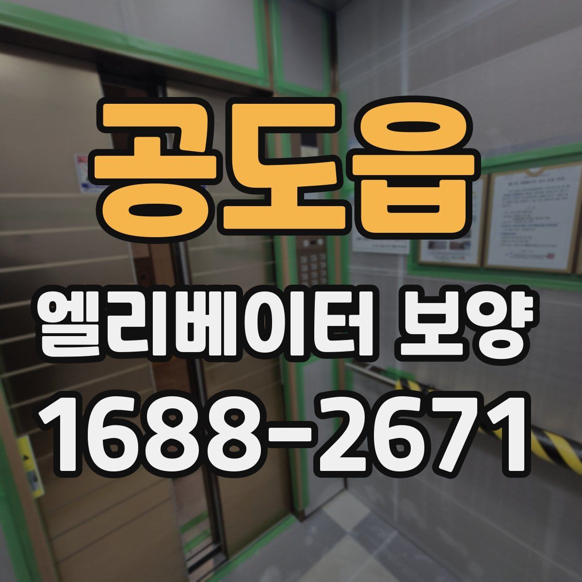공도읍 엘리베이터 보양