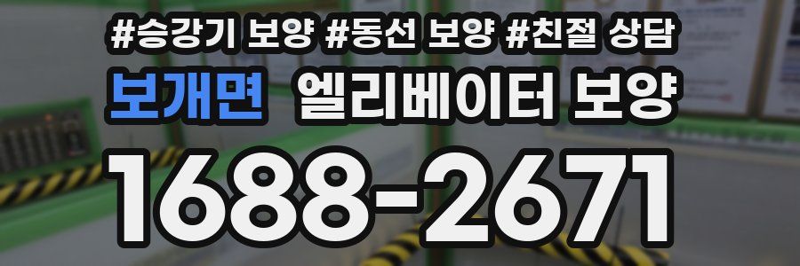 보개면 엘리베이터 보양