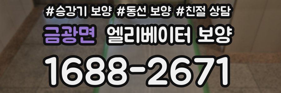 금광면 엘리베이터 보양