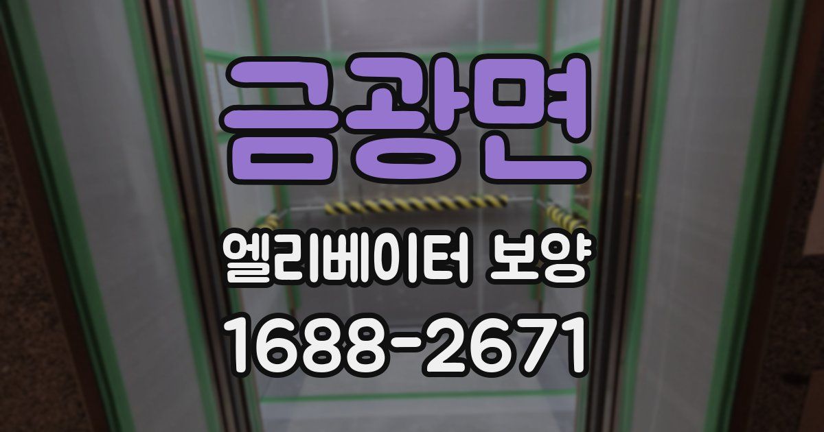 금광면 엘리베이터 보양
