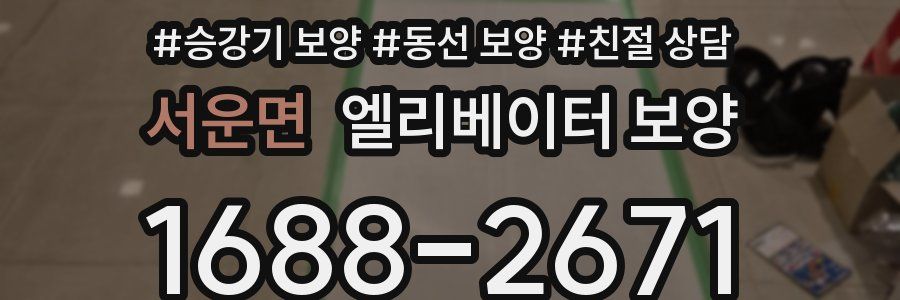 서운면 엘리베이터 보양