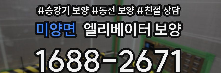 미양면 엘리베이터 보양