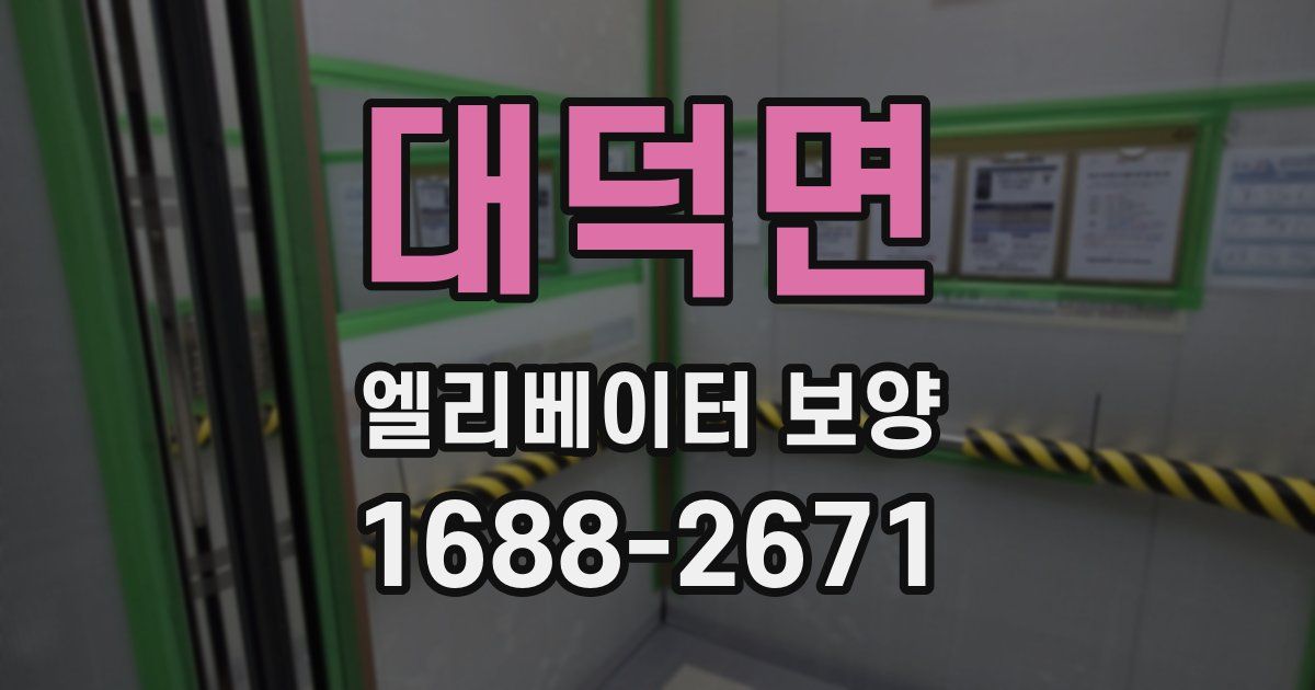 대덕면 엘리베이터 보양