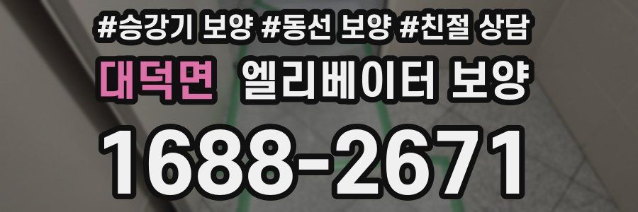 대덕면 엘리베이터 보양