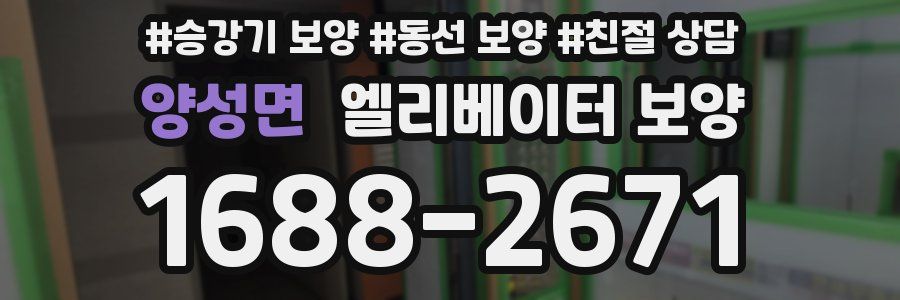 양성면 엘리베이터 보양