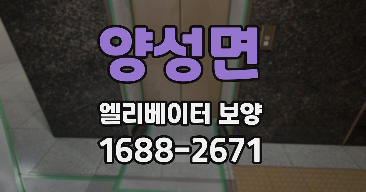 양성면 엘리베이터 보양