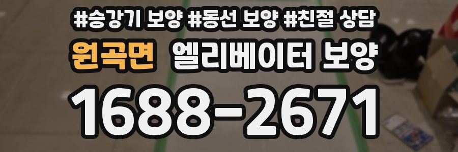 원곡면 엘리베이터 보양