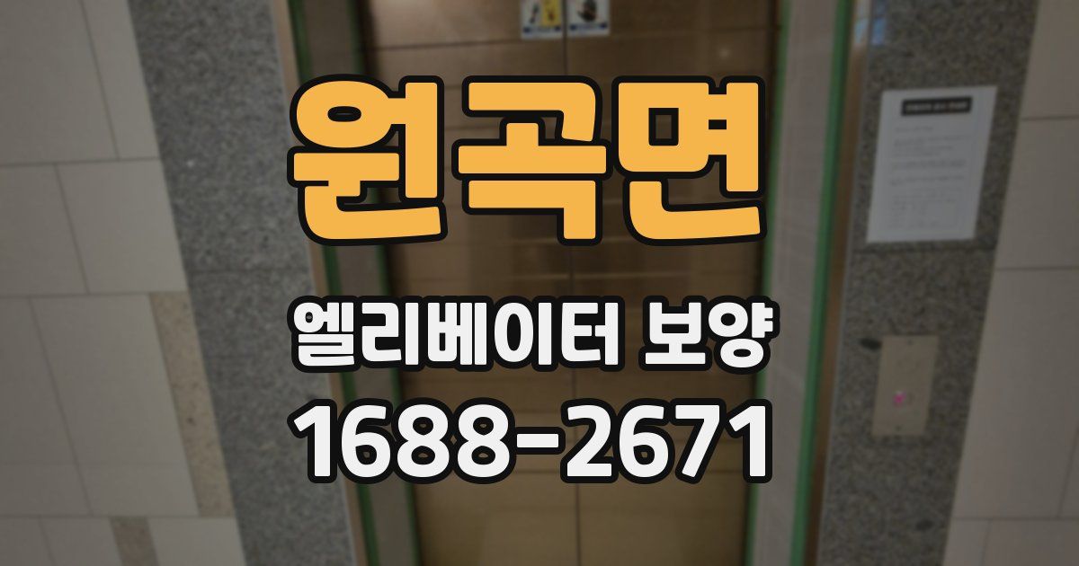 원곡면 엘리베이터 보양