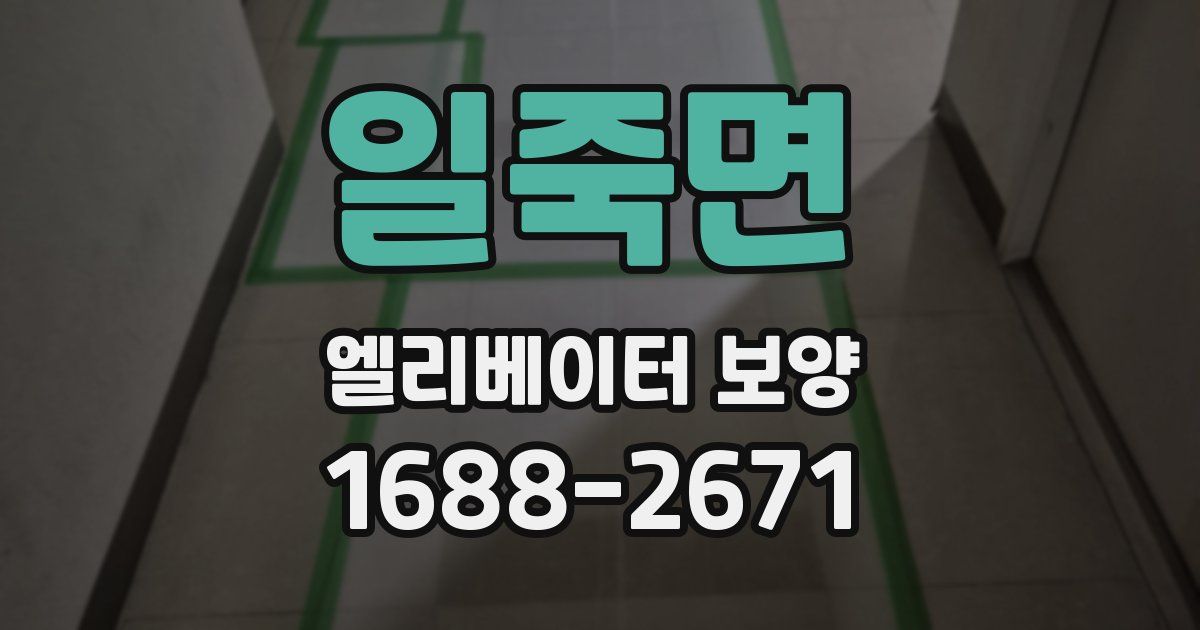 일죽면 엘리베이터 보양