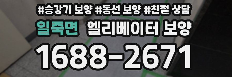 일죽면 엘리베이터 보양