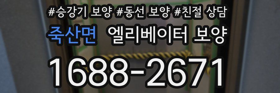죽산면 엘리베이터 보양