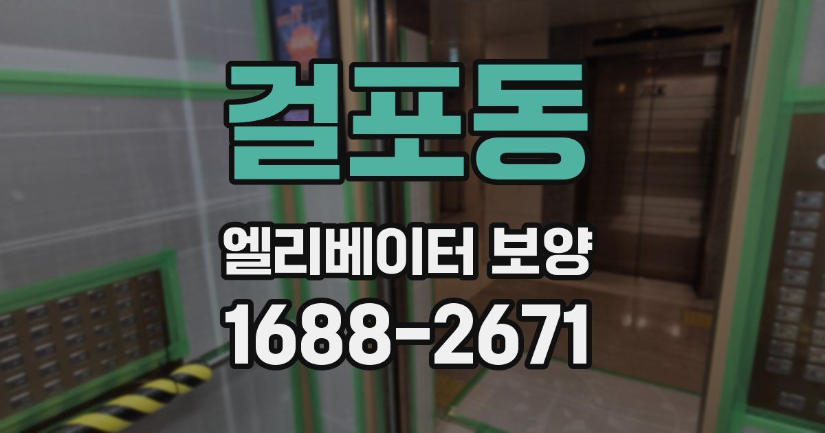 걸포동 엘리베이터 보양