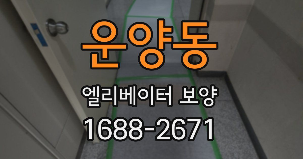 운양동 엘리베이터 보양
