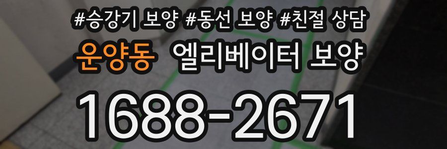 운양동 엘리베이터 보양