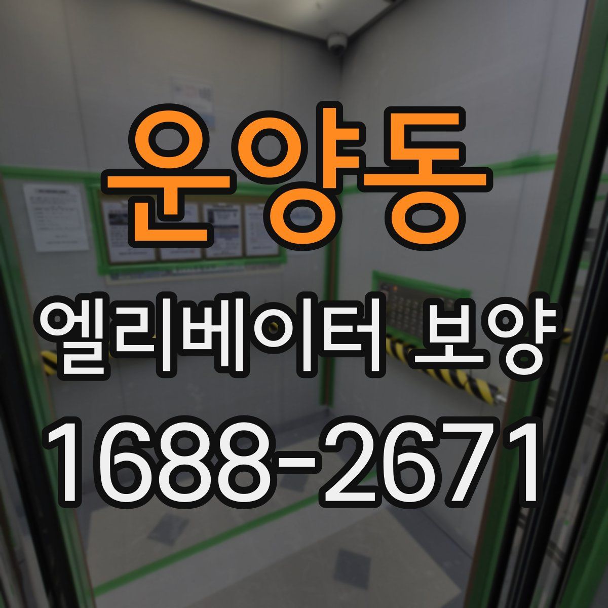운양동 엘리베이터 보양