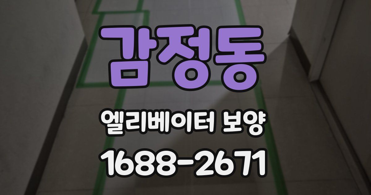 감정동 엘리베이터 보양