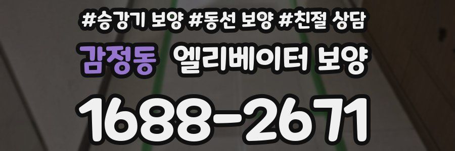 감정동 엘리베이터 보양