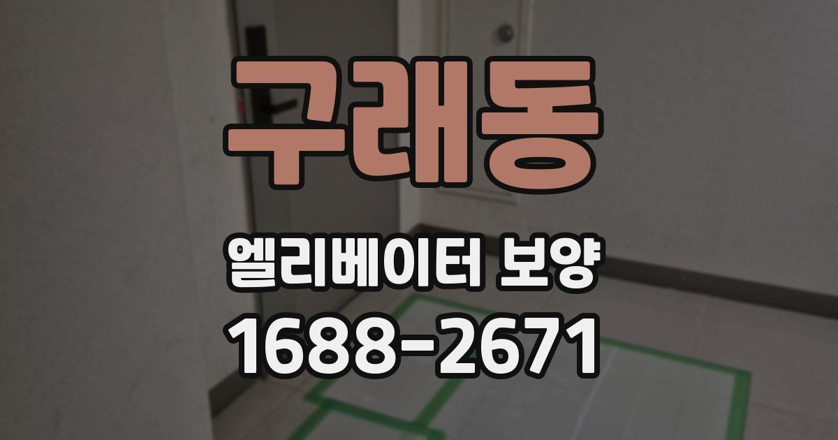 구래동 엘리베이터 보양