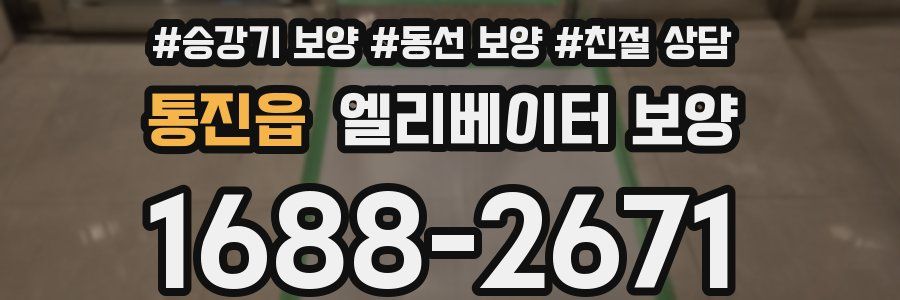 통진읍 엘리베이터 보양