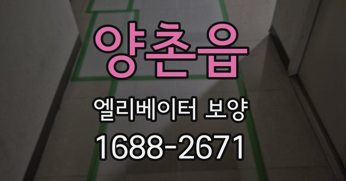 양촌읍 엘리베이터 보양