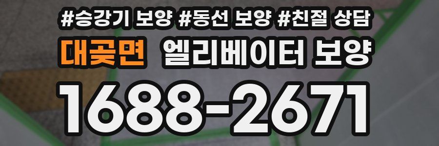 대곶면 엘리베이터 보양