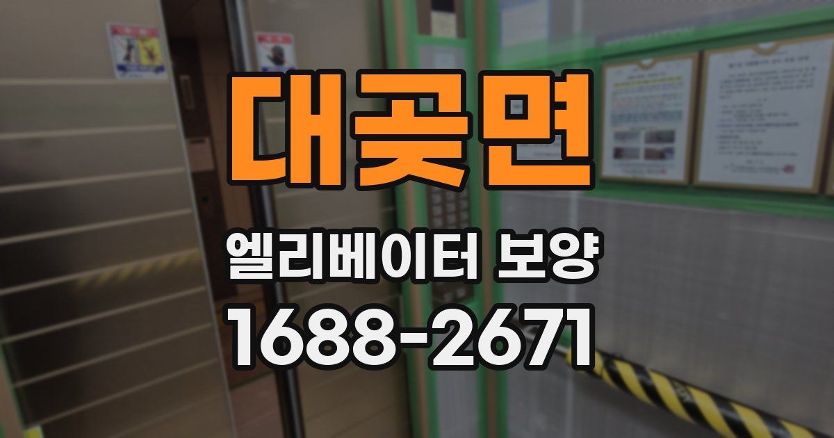 대곶면 엘리베이터 보양