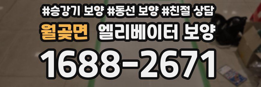 월곶면 엘리베이터 보양