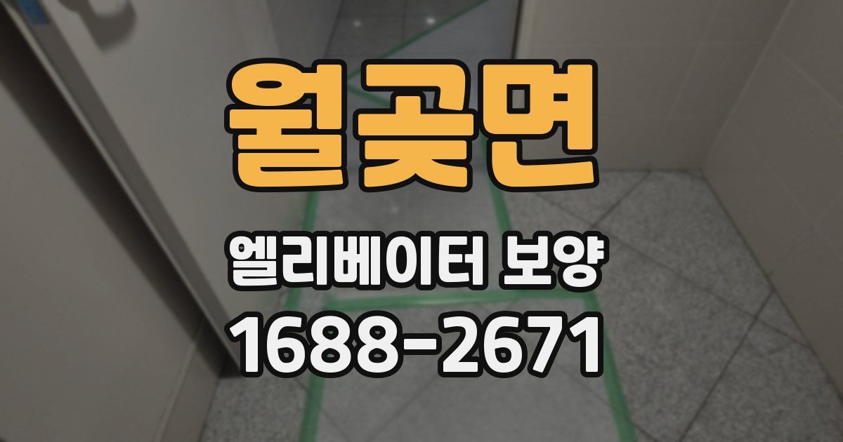 월곶면 엘리베이터 보양