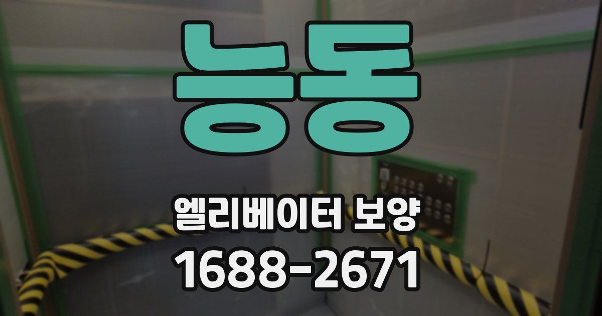 능동 엘리베이터 보양