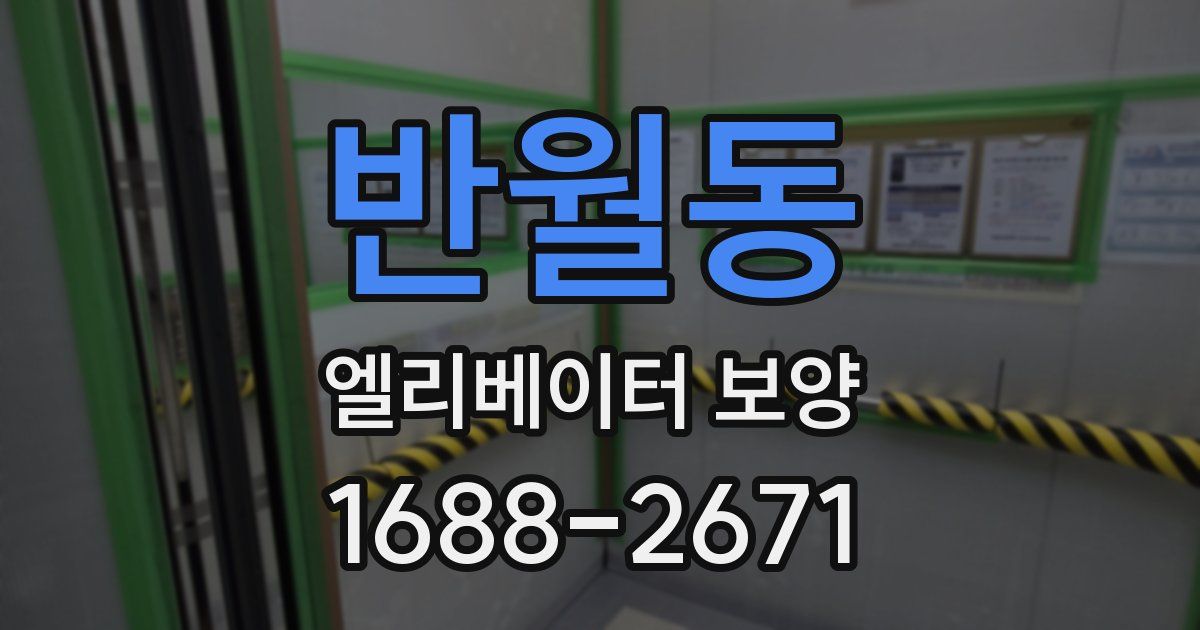 반월동 엘리베이터 보양
