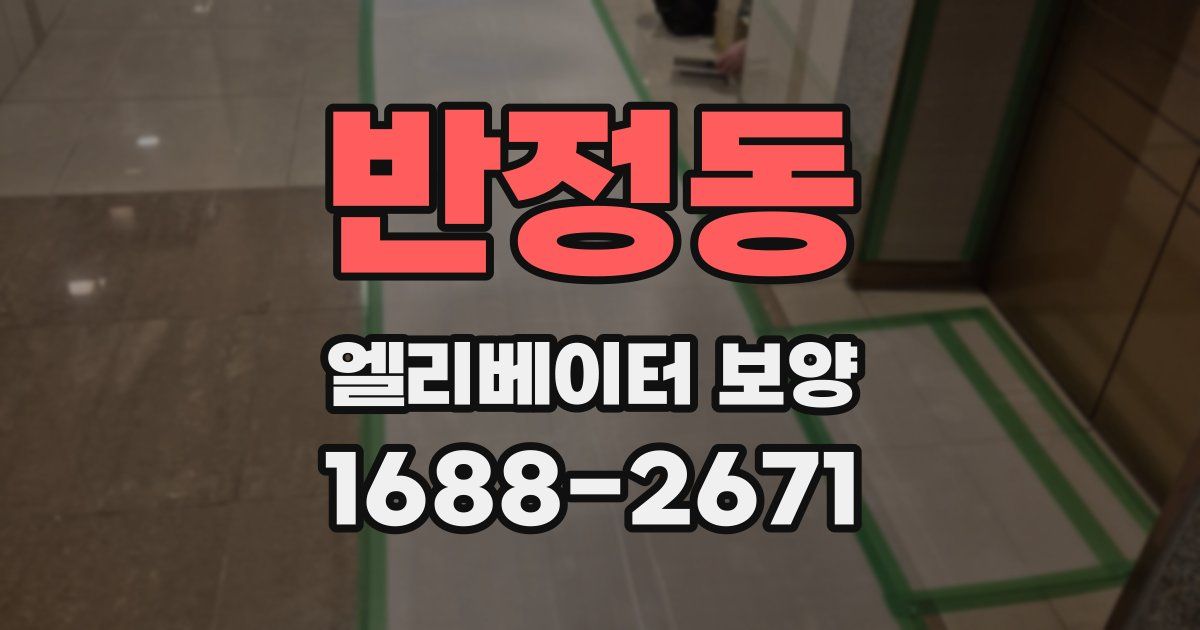 반정동 엘리베이터 보양