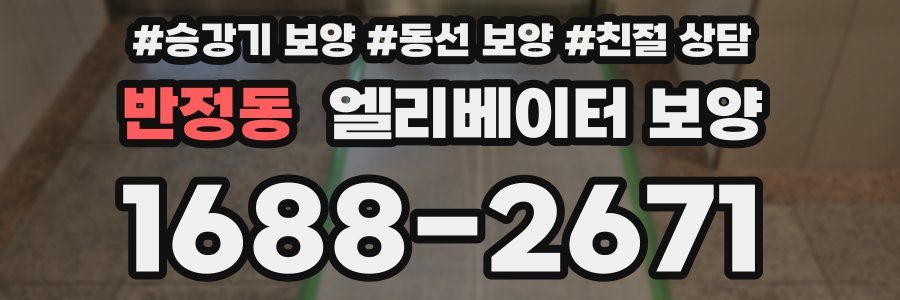 반정동 엘리베이터 보양