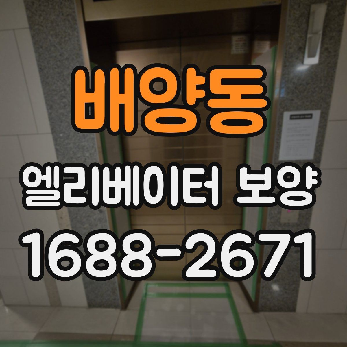 배양동 엘리베이터 보양 후 청소와 마무리까지의 흐름
