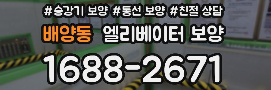 배양동 엘리베이터 보양