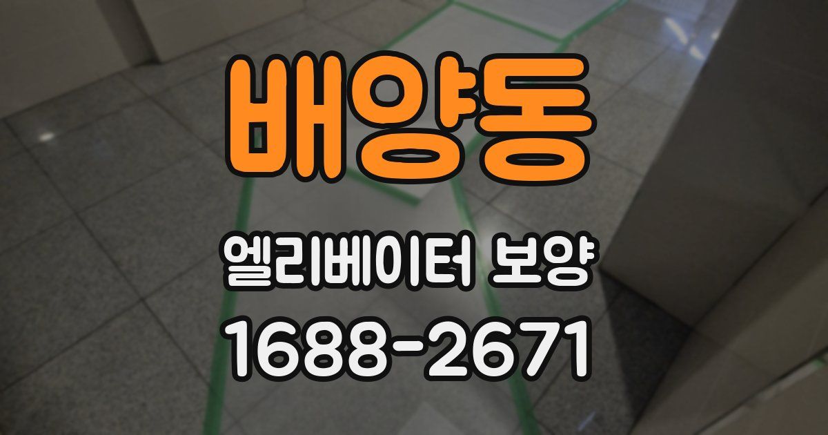 배양동 엘리베이터 보양