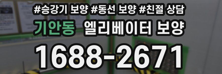 기안동 엘리베이터 보양