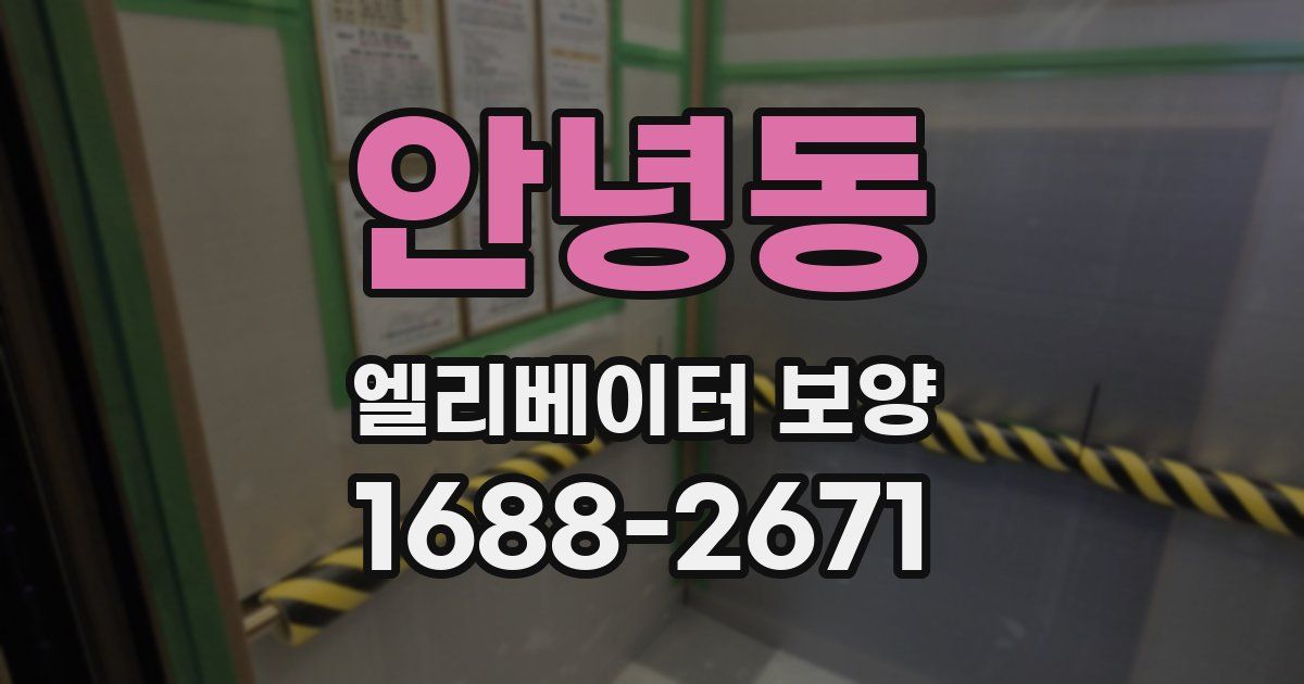 안녕동 엘리베이터 보양