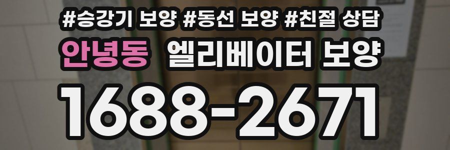 안녕동 엘리베이터 보양