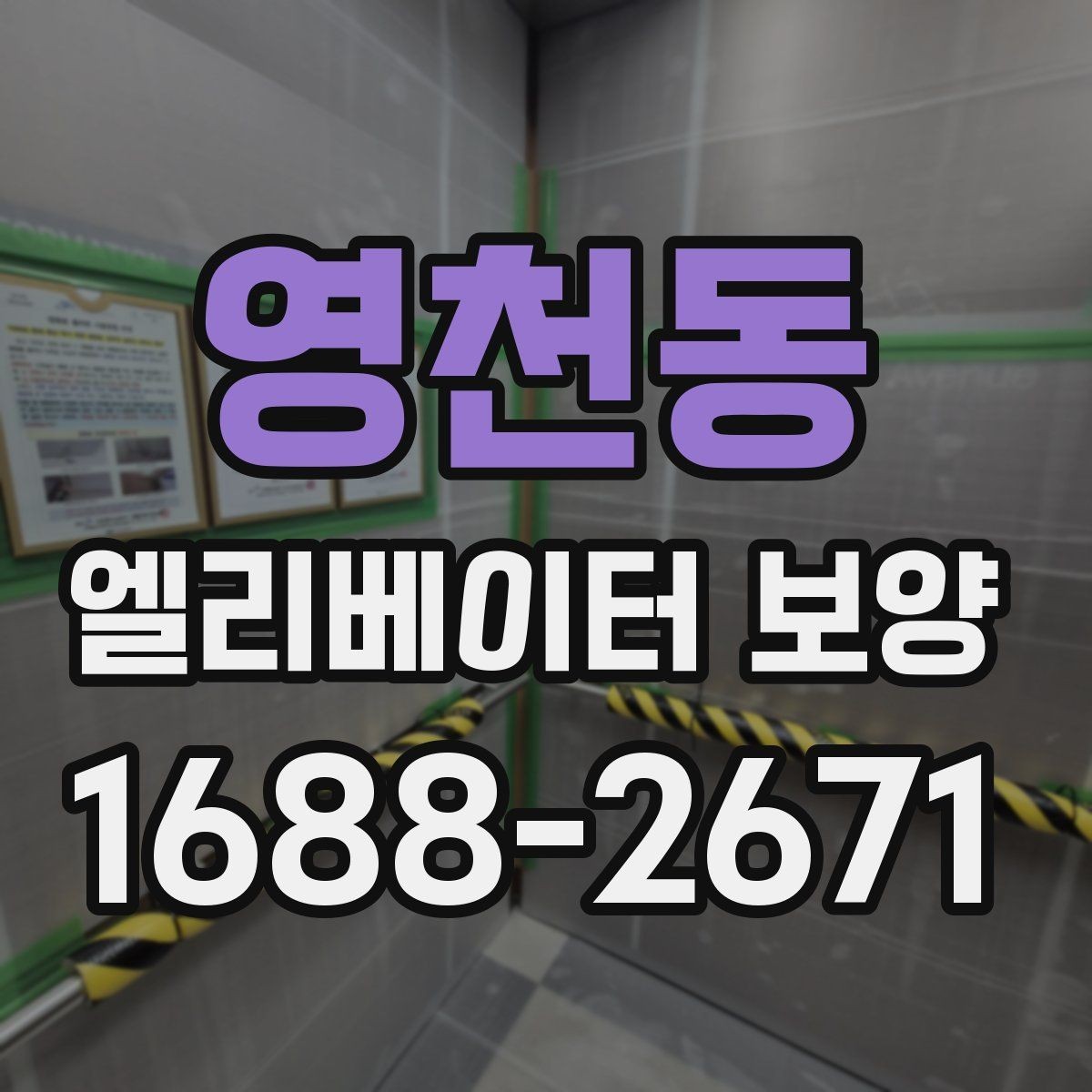 영천동 엘리베이터 보양 재료별 장단점 간단 비교
