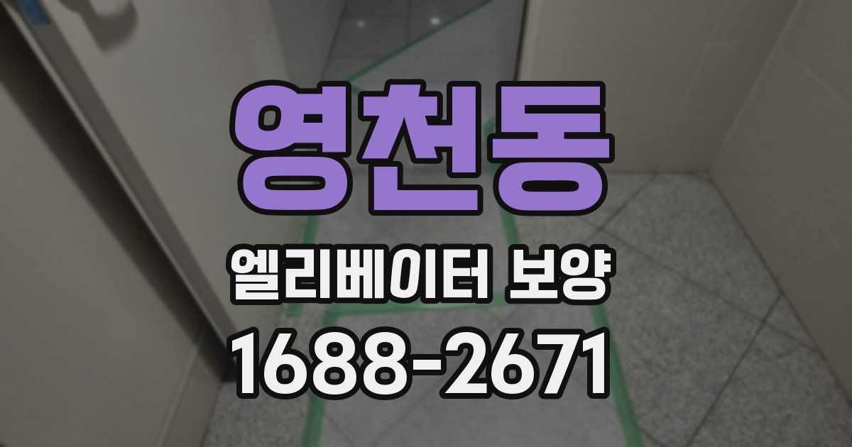 영천동 엘리베이터 보양